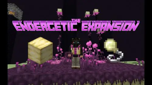 The Endergetic Expansion [1.16.5] [1.16.4] [1.16.3] [1.16.1]