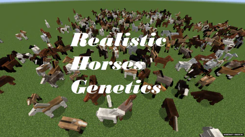 Realistic Horse Genetics [1.20.1] [1.19.4] [1.19.3] [1.19.2]