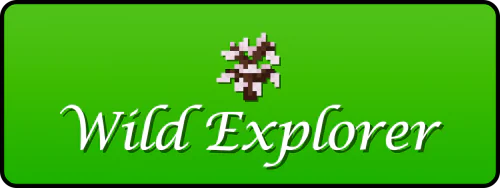Wild Explorer [1.20.2] [1.20.1] [1.20] [1.19.4]