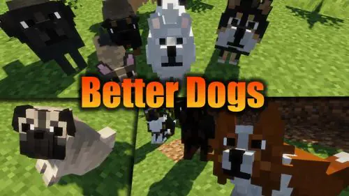 Better Dogs [1.20.2] [1.20.1] [1.20] [1.19.4] [1.19.3]